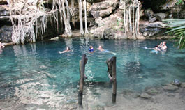 Swimming in cenote X-Batun